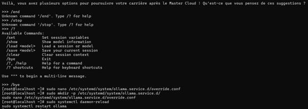 Test du modèle en CLI et configuration systemd (override)